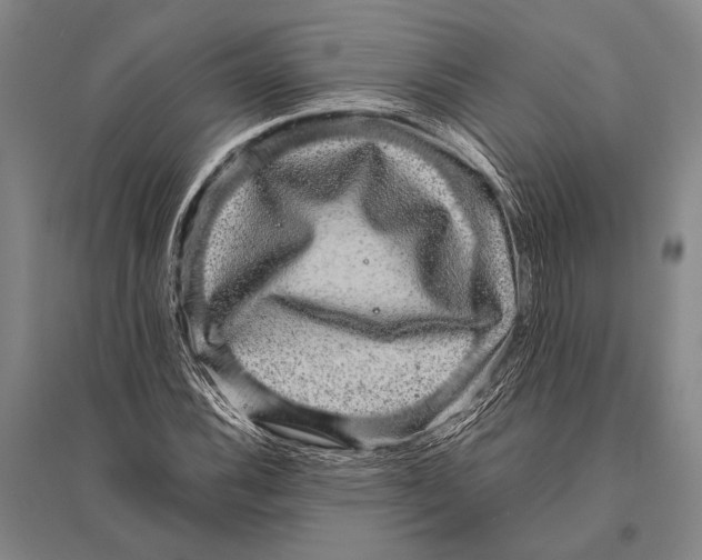 X0000094821116200712141638