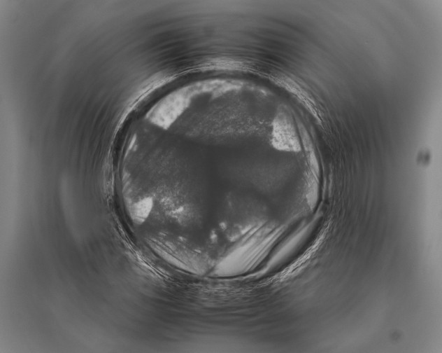 X0000094821117200712141638