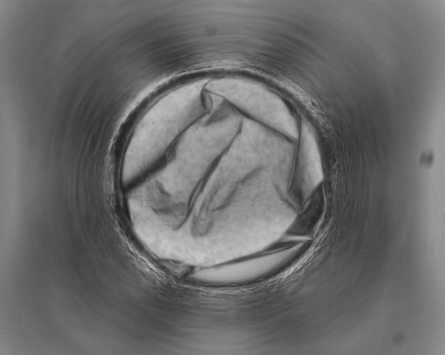 X0000094821118200712141638