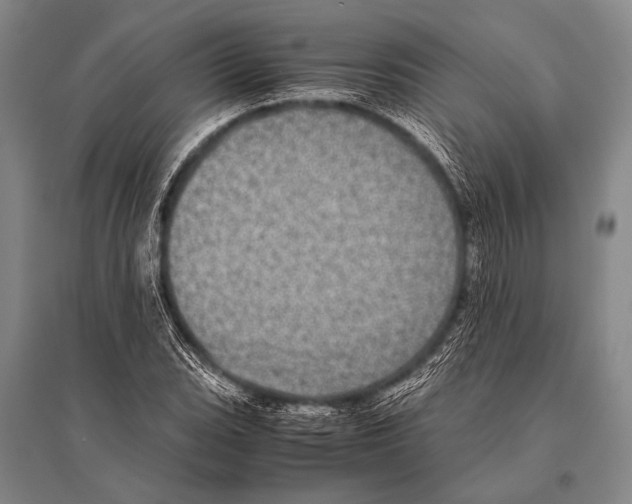 X0000094821119200712141638