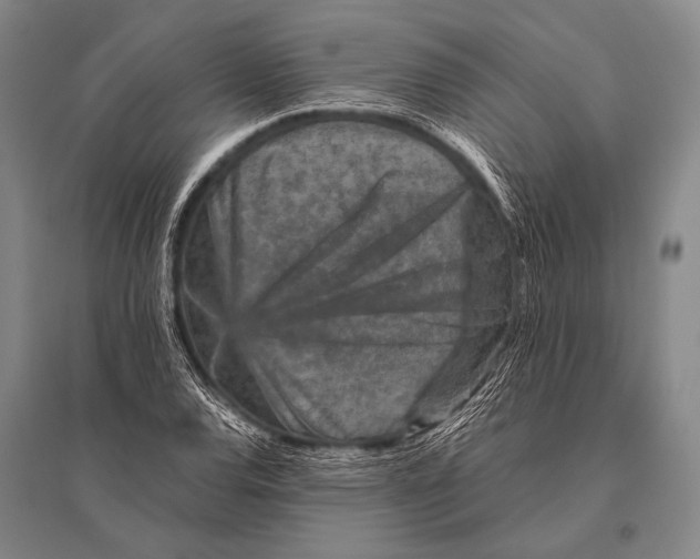 X0000094821120200712141638