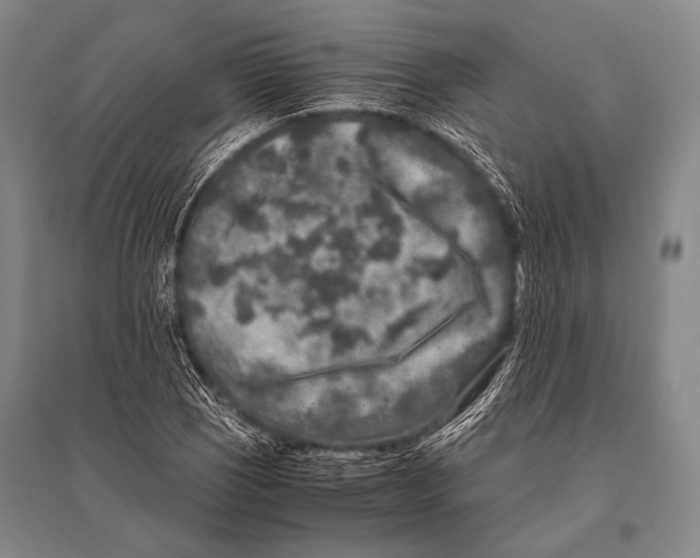 X0000094821121200712141638