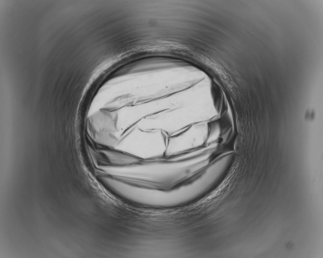 X0000094821122200712141639