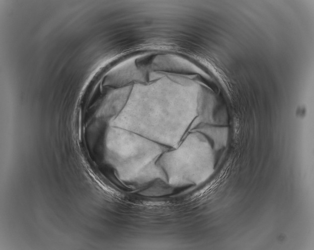 X0000094821123200712141639