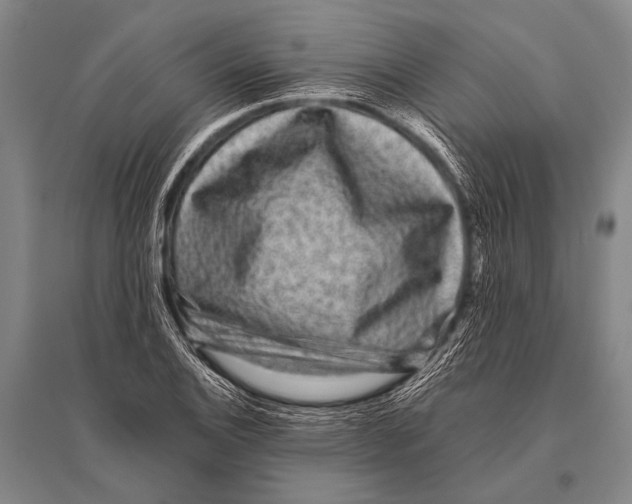 X0000094821124200712141639