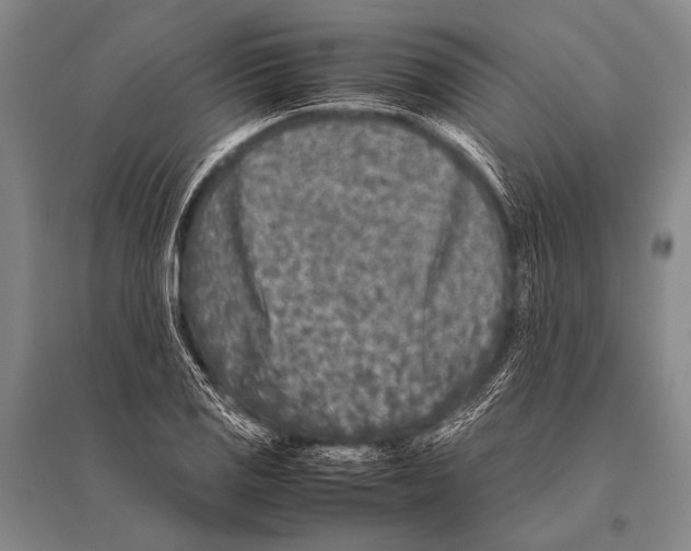 X0000094821125200712141639