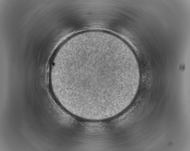 X0000094821126200712141639