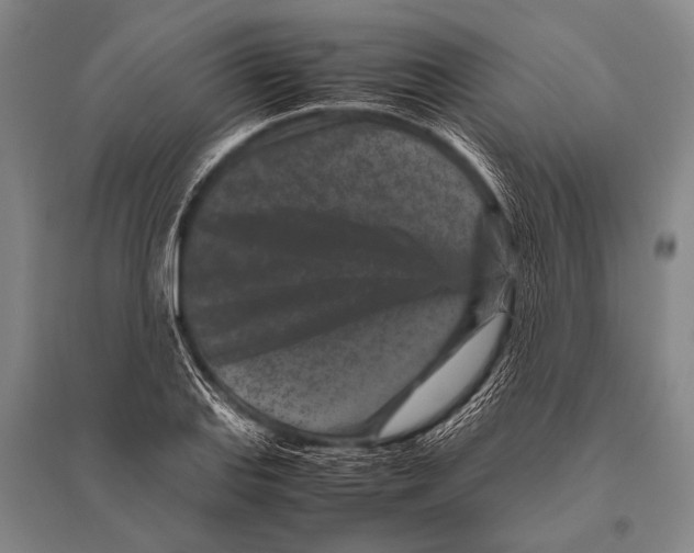 X0000094821127200712141639