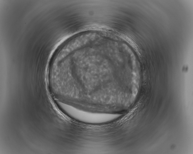 X0000094821128200712141639