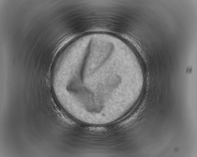 X0000094821129200712141639