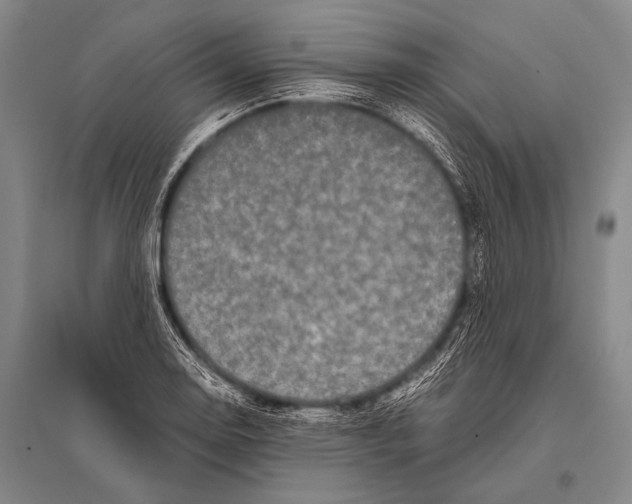 X0000094821130200712141639