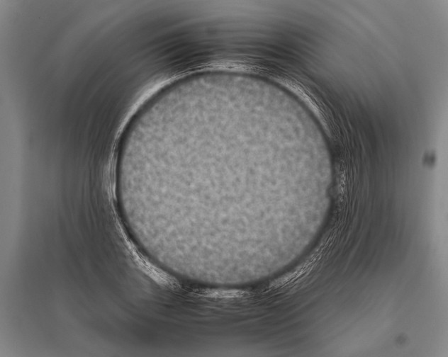 X0000094821131200712141639