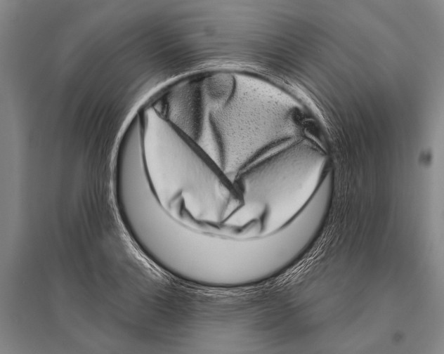 X0000094821132200712141639