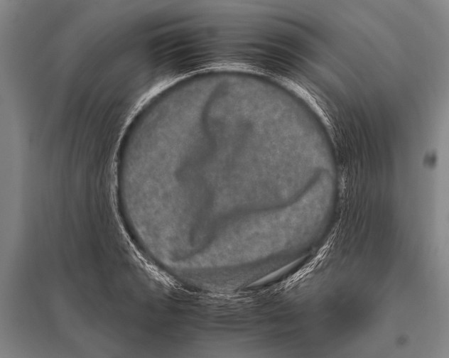 X0000094821133200712141639