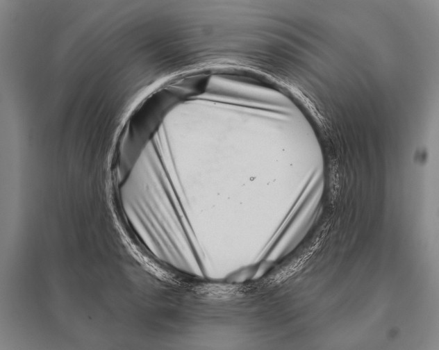 X0000094821134200712141639