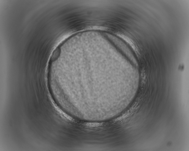 X0000094821135200712141639