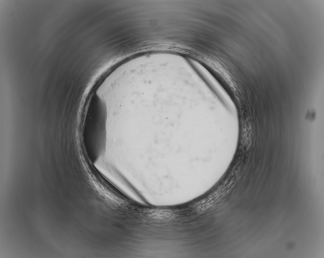 X0000094821136200712141639