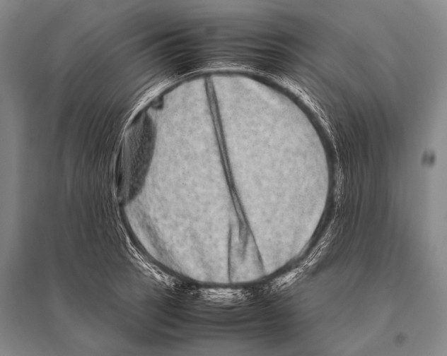 X0000094821137200712141639