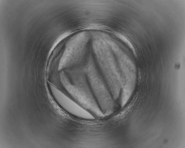 X0000094821138200712141639