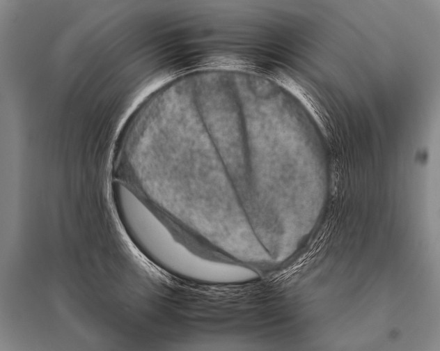 X0000094821139200712141639