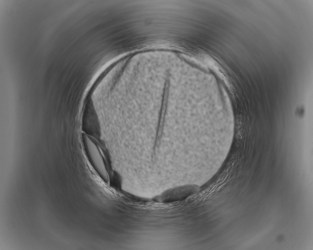 X0000094821140200712141639