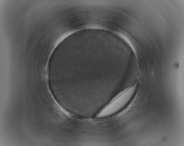 X0000094821141200712141639