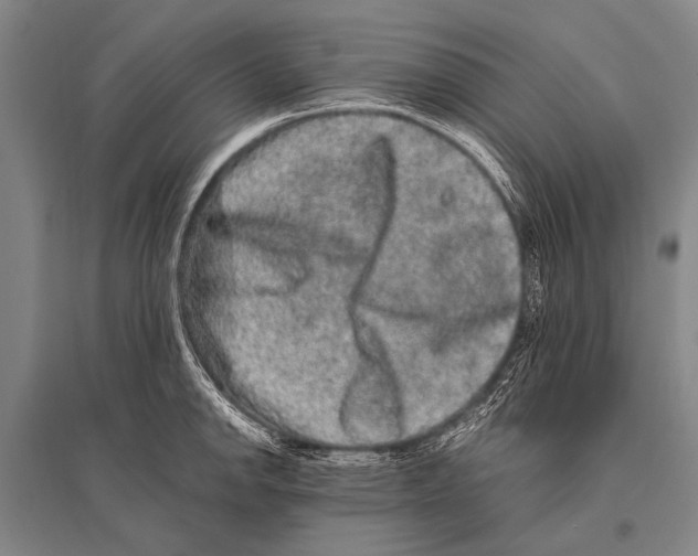 X0000094821142200712141639