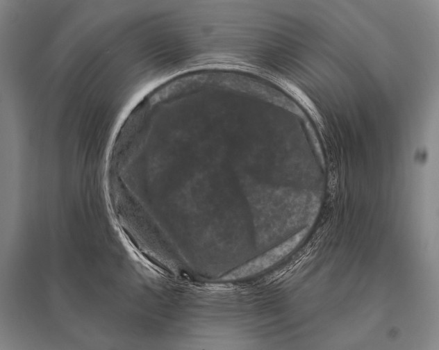 X0000094821144200712141639