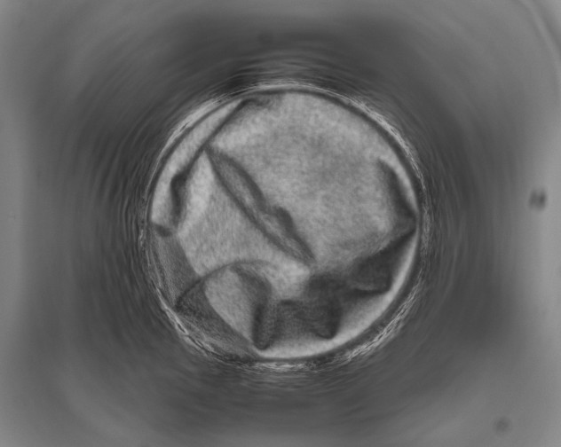 X0000094821145200712141639