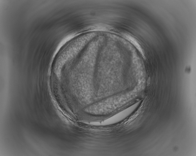 X0000094821146200712141639