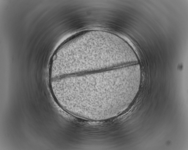 X0000094821147200712141639