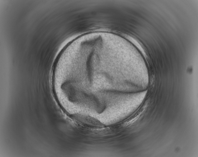 X0000094821149200712141639