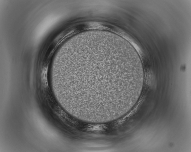 X0000094821150200712141639