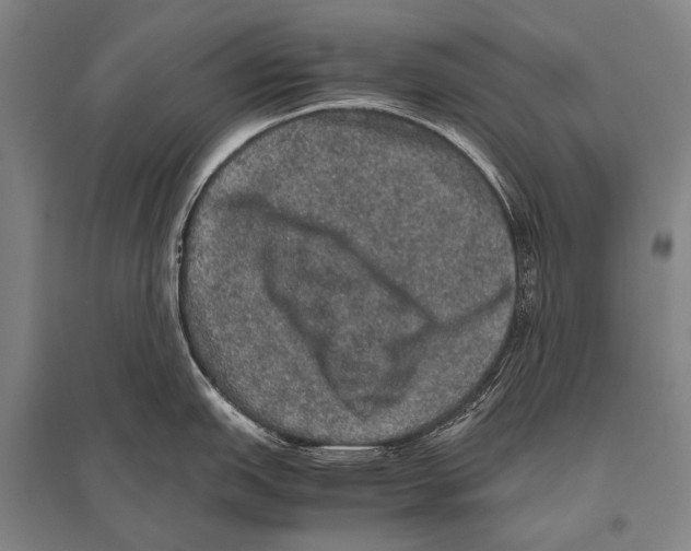 X0000094821151200712141639