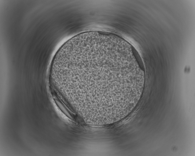 X0000094821152200712141639