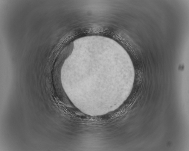 X0000094821153200712141638