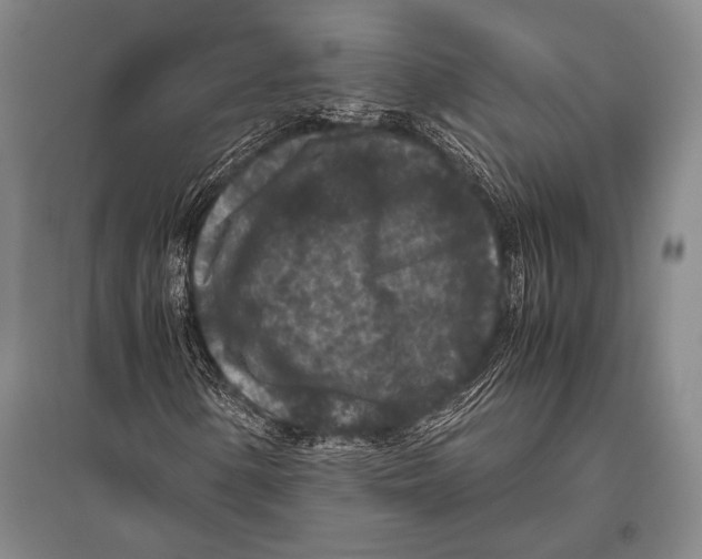 X0000094821154200712141638