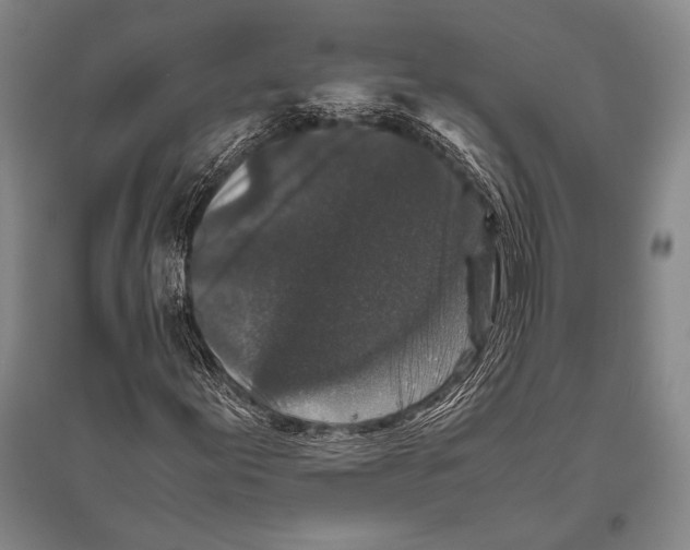 X0000094821155200712141638