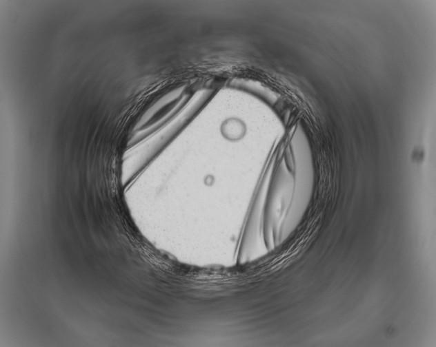 X0000094821156200712141638