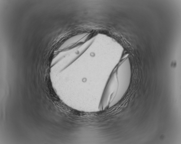 X0000094821157200712141638