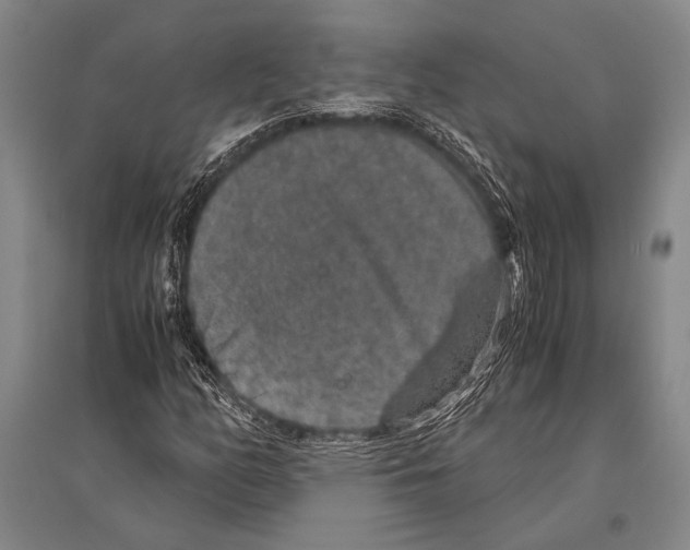 X0000094821158200712141638