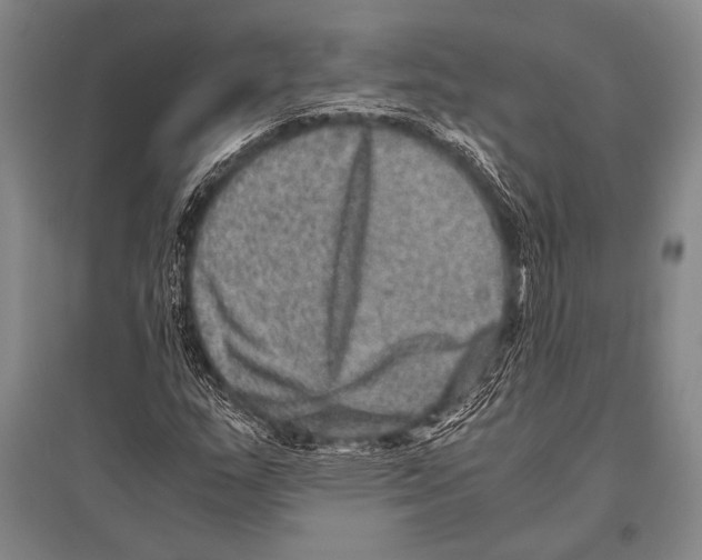 X0000094821159200712141638