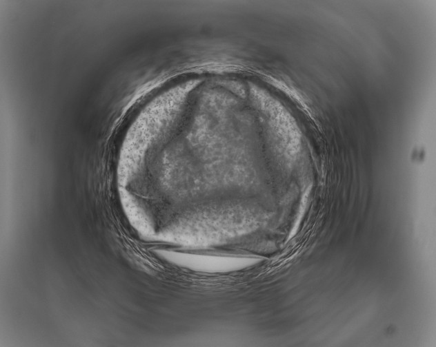 X0000094821160200712141638