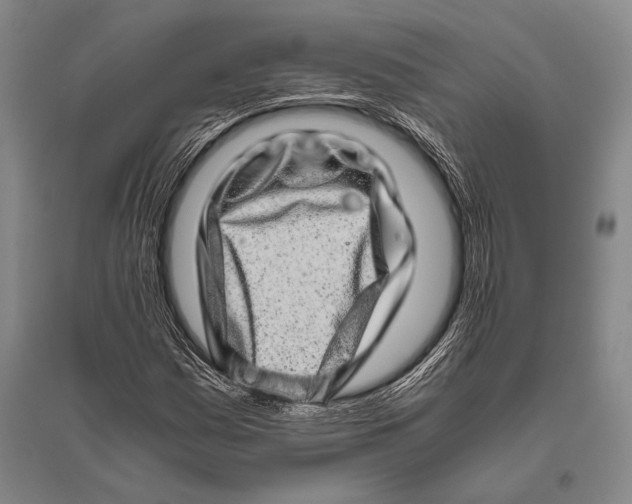 X0000094821161200712141638