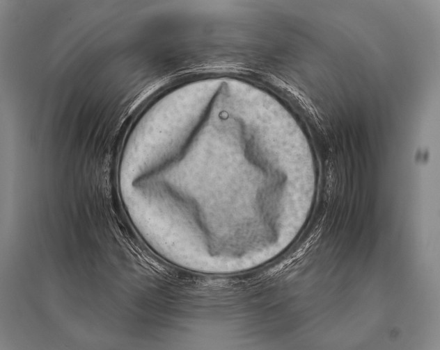 X0000094821162200712141638