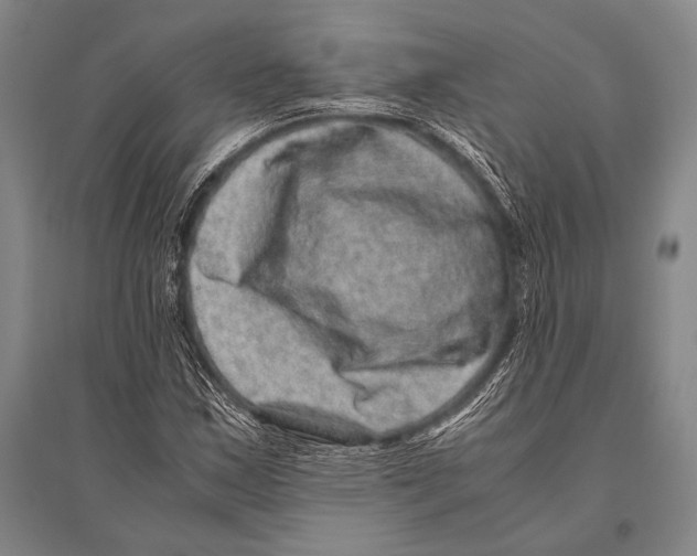 X0000094821163200712141638