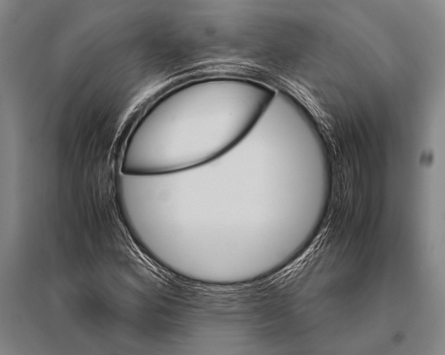 X0000094821164200712141638