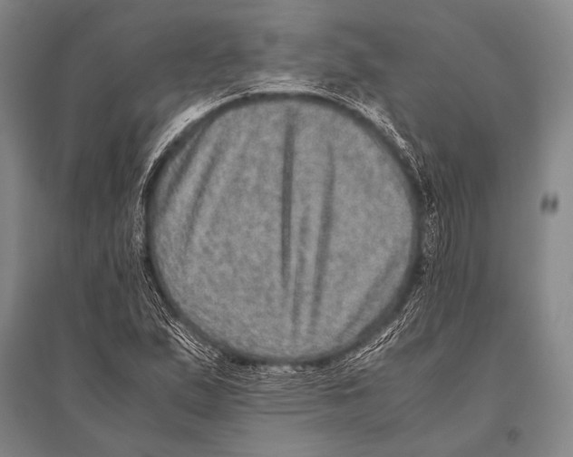 X0000094821167200712141638