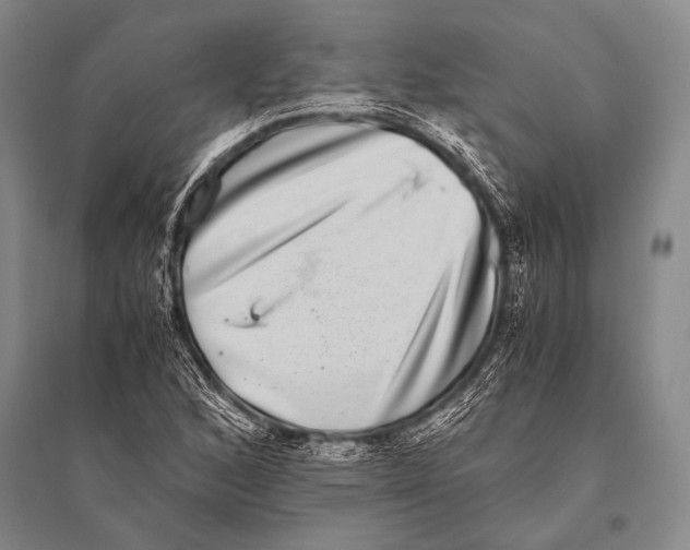 X0000094821168200712141638