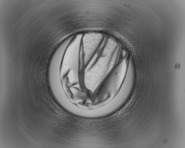 X0000094821169200712141638